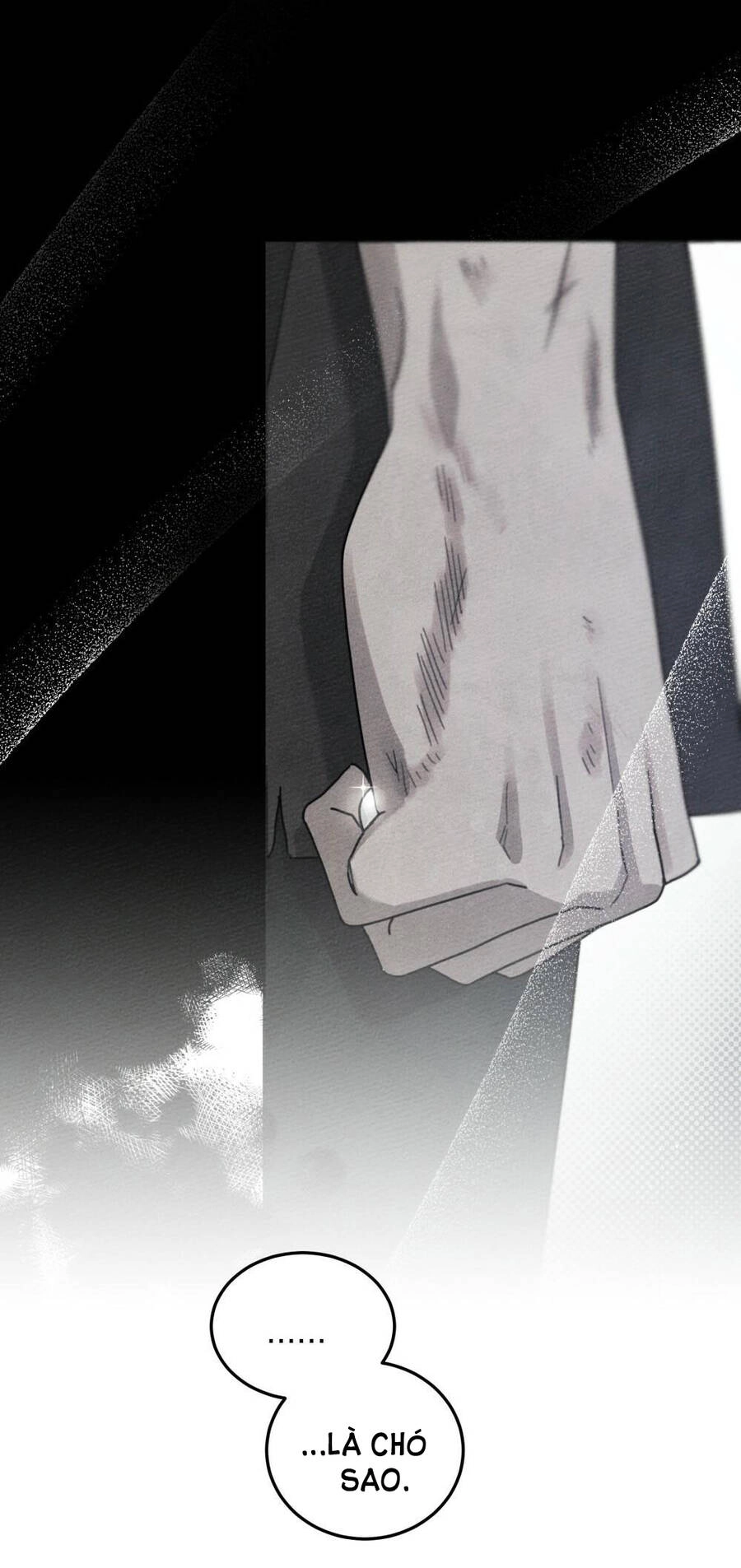 Dưới Bóng Cây Sồi Chapter 46.1 - 45