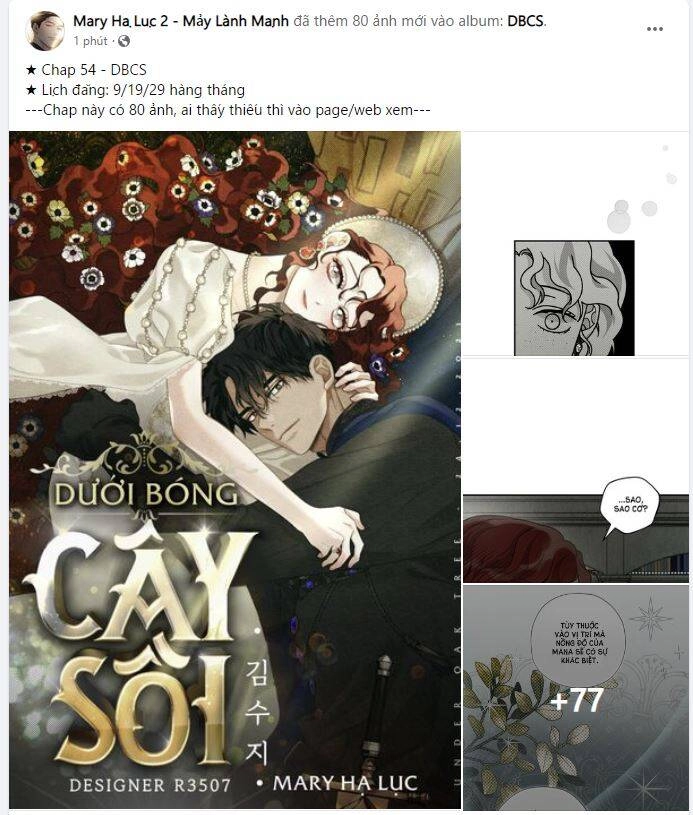 Dưới Bóng Cây Sồi Chapter 54.2 - 1