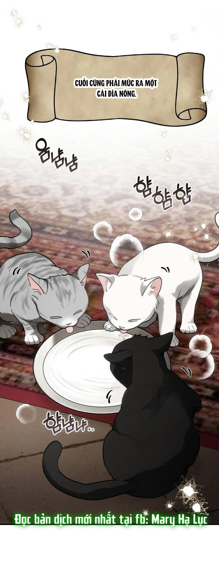 Dưới Bóng Cây Sồi Chapter 56.2 - 26