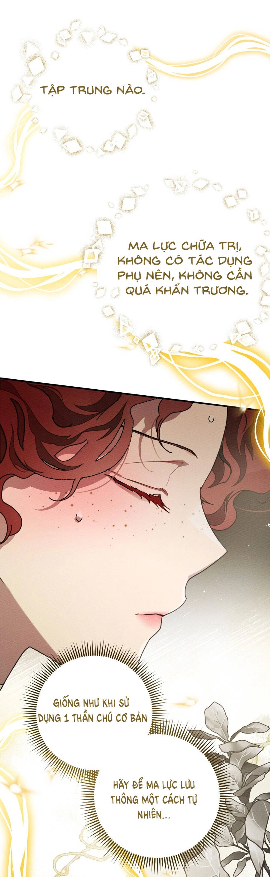 Dưới Bóng Cây Sồi Chapter 61.2 - 25