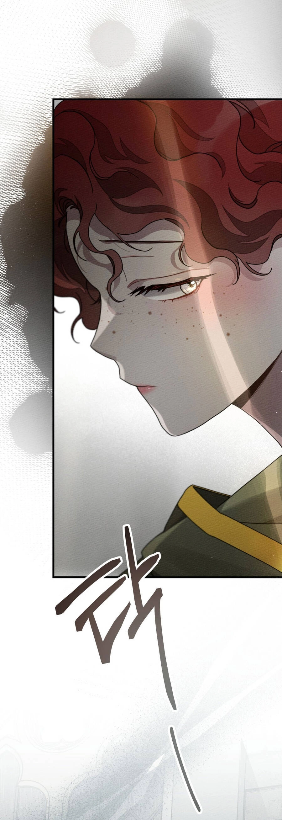 Dưới Bóng Cây Sồi Chapter 63.2 - 27