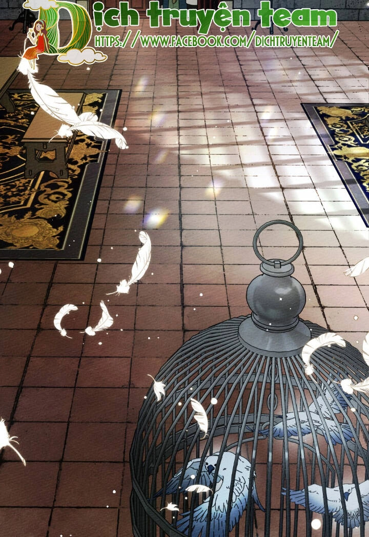 Dưới Bóng Cây Sồi Chapter 64 - 11