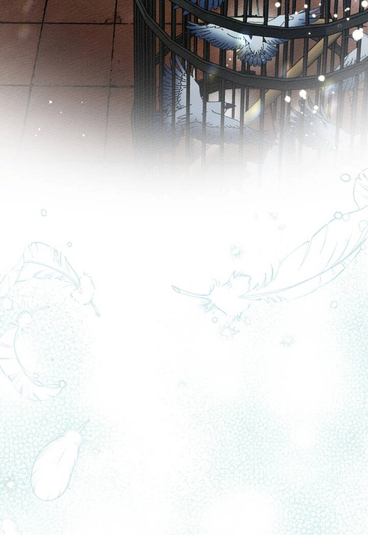 Dưới Bóng Cây Sồi Chapter 64 - 12