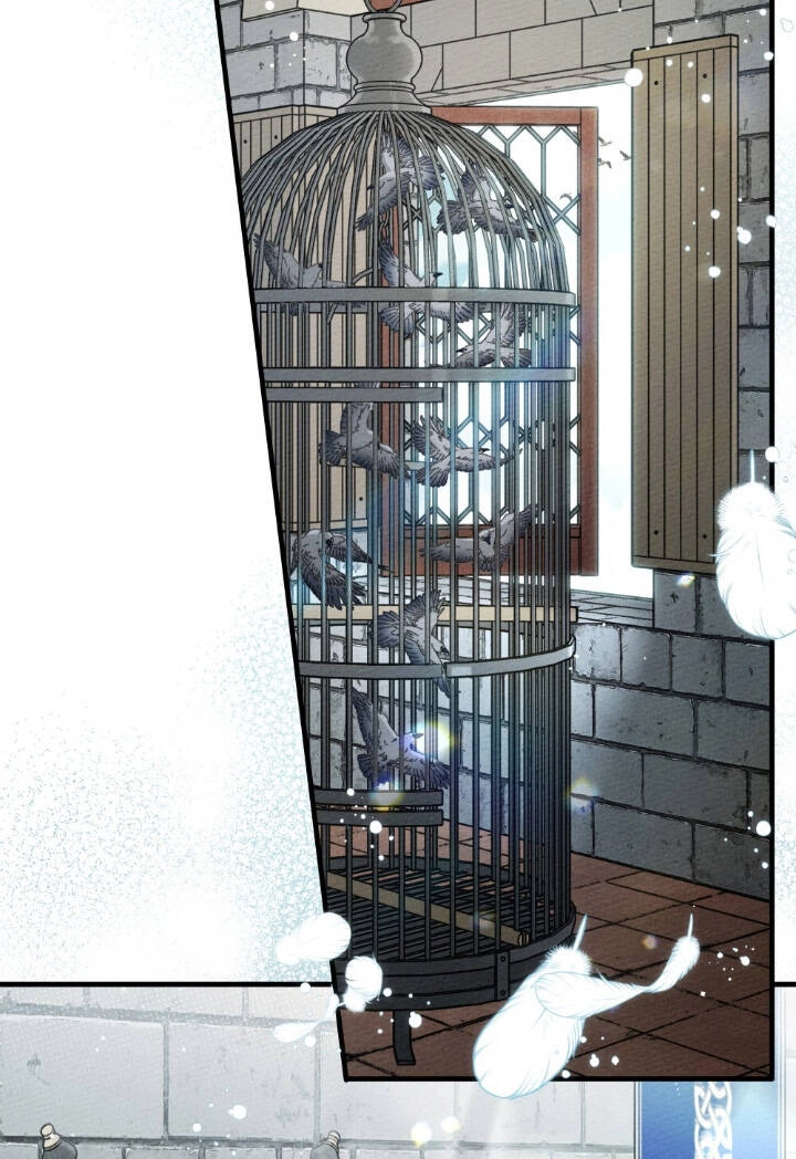 Dưới Bóng Cây Sồi Chapter 64 - 14