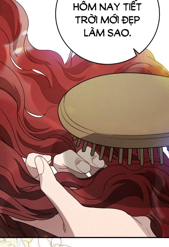 Dưới Bóng Cây Sồi Chapter 64 - 73