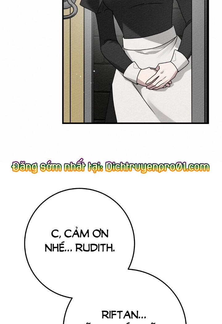 Dưới Bóng Cây Sồi Chapter 64 - 77