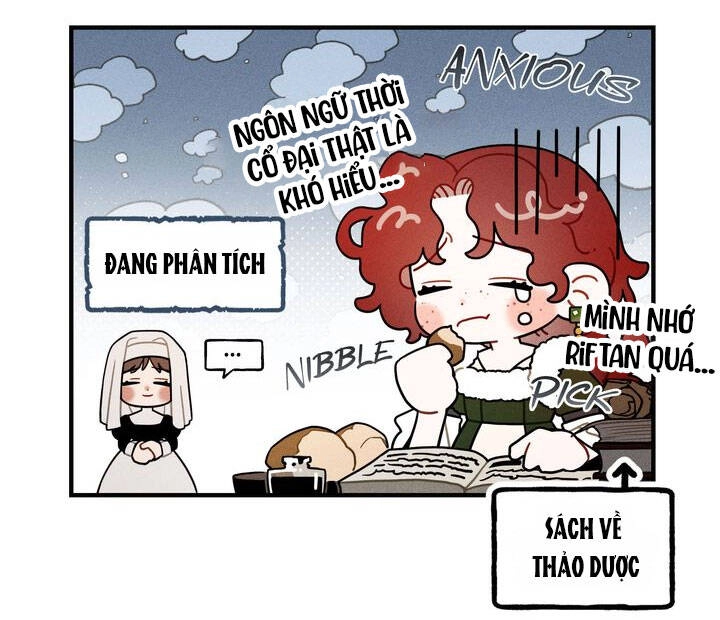 Dưới Bóng Cây Sồi Chapter 65.8 - 4