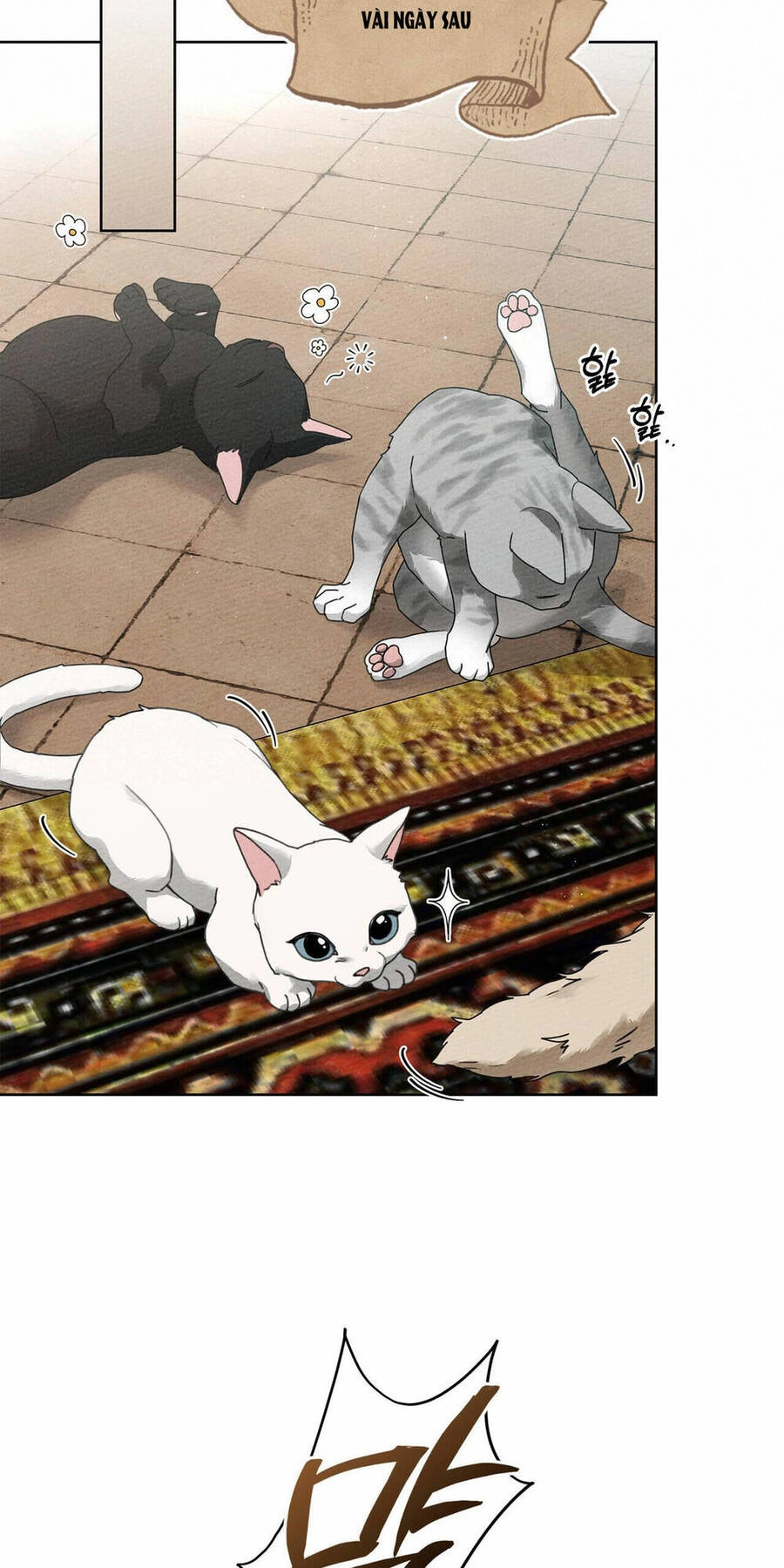 Dưới Bóng Cây Sồi Chapter 74.2 - 11