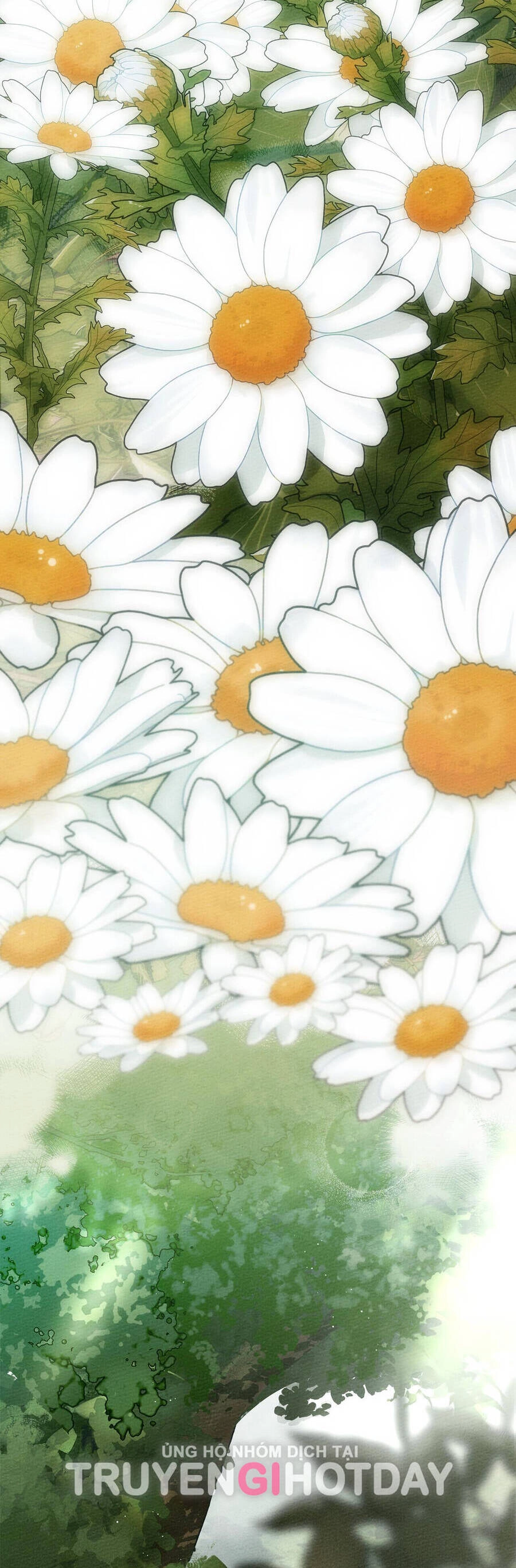 Dưới Bóng Cây Sồi Chapter 76.1 - 19