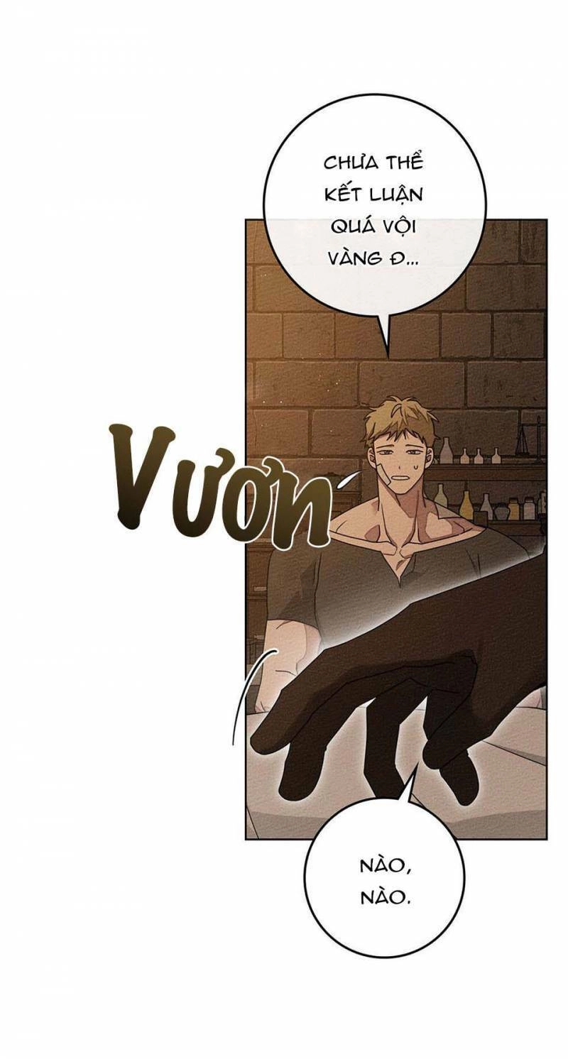 Dưới Bóng Cây Sồi Chapter 80 - 12