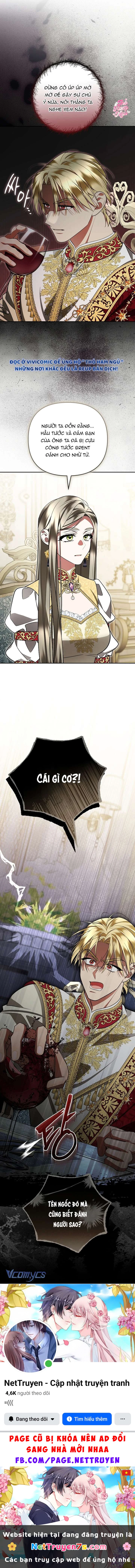 Chồng Tôi Bị Nam Chính Nhập Vào Rồi! Chapter  34 - 13