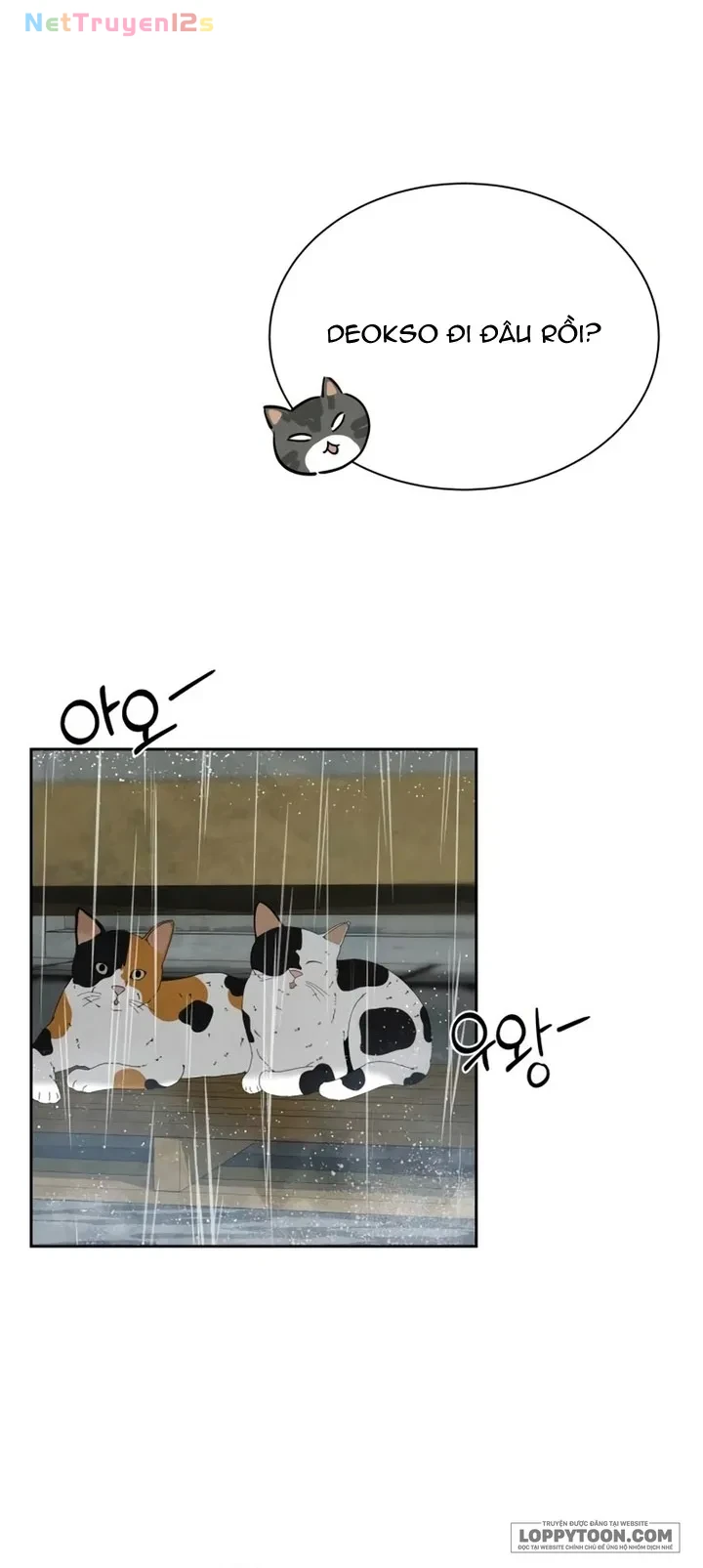 Chưa Từng Chạm Tới Em Chapter 19 - 14