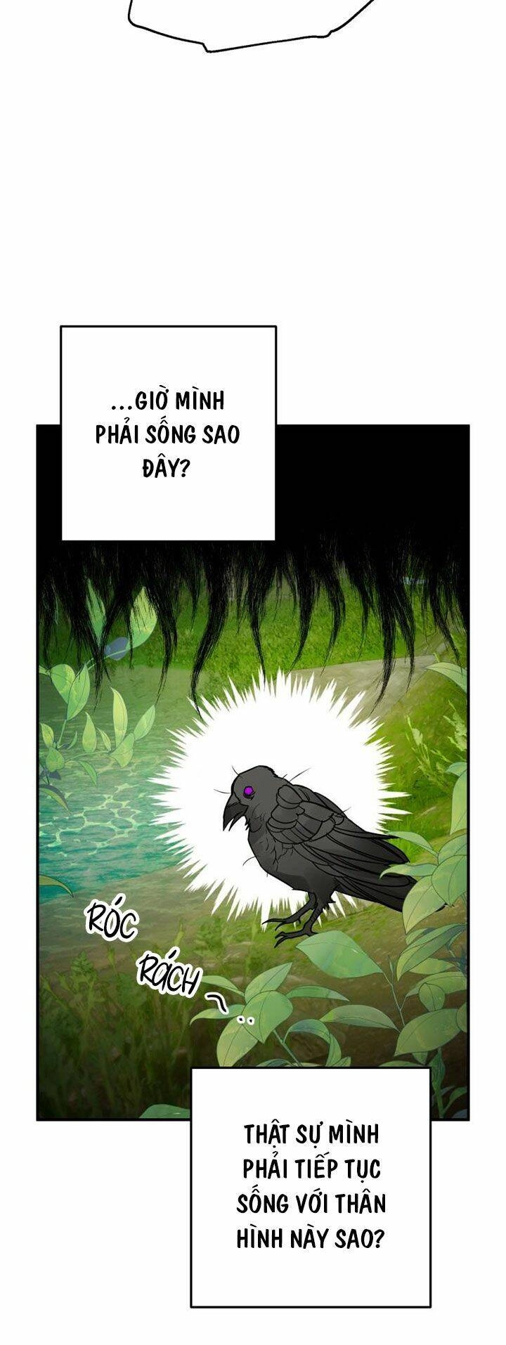 Bỗng Nhiên Tôi Trở Thành Quạ Đen!! Chapter 1 - 31