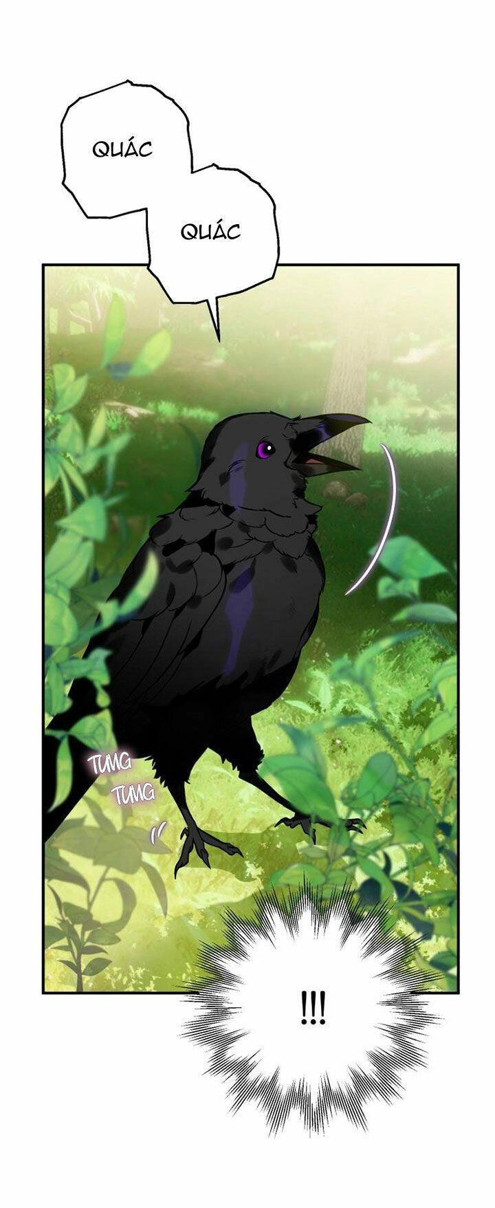 Bỗng Nhiên Tôi Trở Thành Quạ Đen!! Chapter 2 - 11