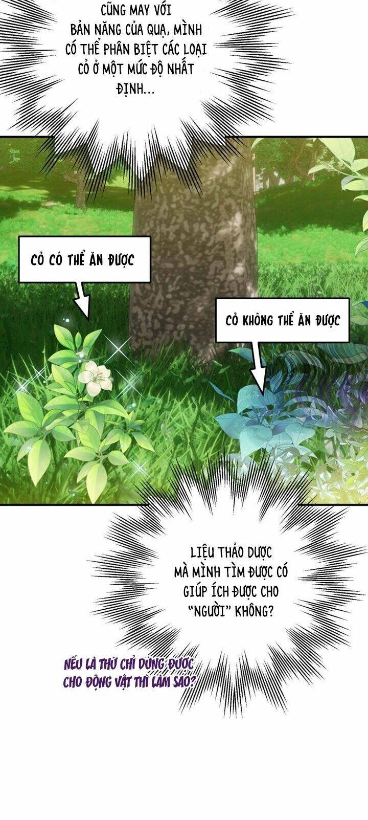 Bỗng Nhiên Tôi Trở Thành Quạ Đen!! Chapter 2 - 37