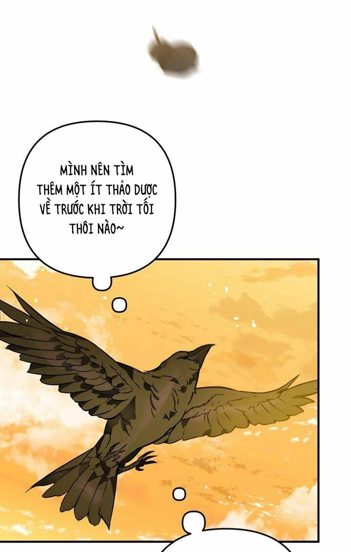 Bỗng Nhiên Tôi Trở Thành Quạ Đen!! Chapter 3 - 34