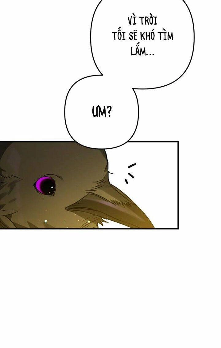 Bỗng Nhiên Tôi Trở Thành Quạ Đen!! Chapter 3 - 35