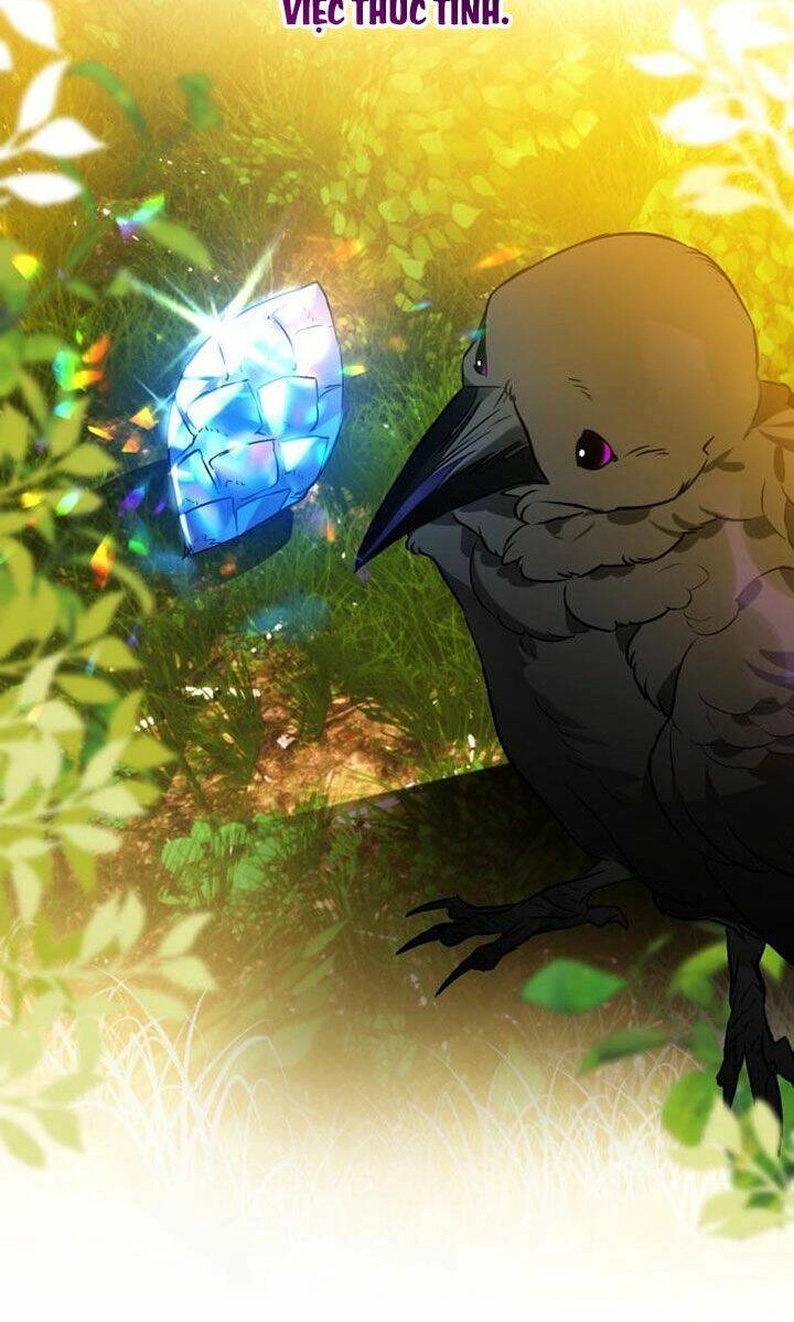 Bỗng Nhiên Tôi Trở Thành Quạ Đen!! Chapter 3 - 64
