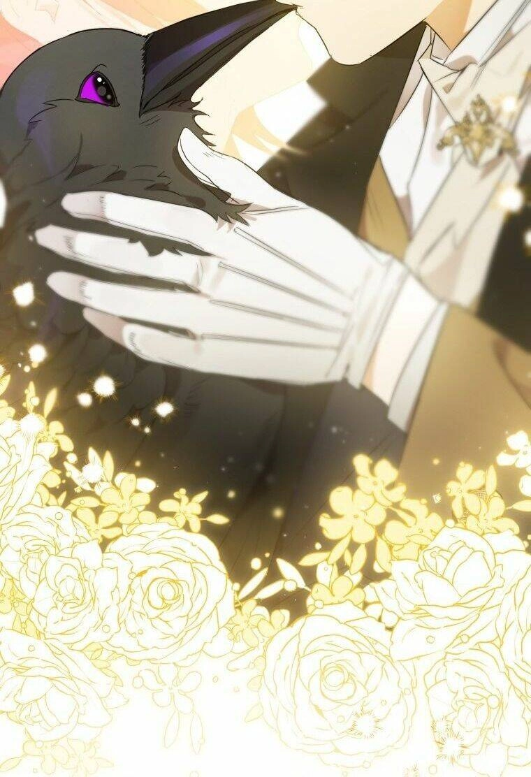 Bỗng Nhiên Tôi Trở Thành Quạ Đen!! Chapter 6 - 26