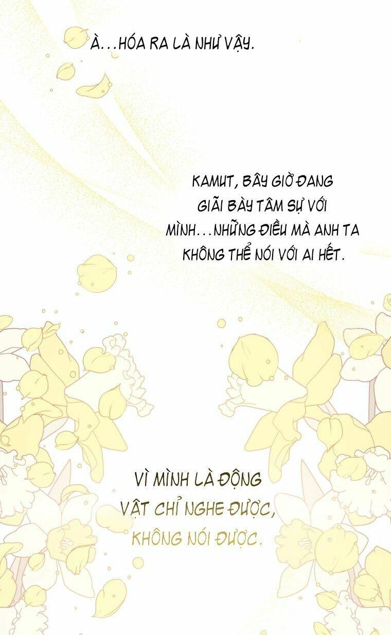 Bỗng Nhiên Tôi Trở Thành Quạ Đen!! Chapter 6 - 36