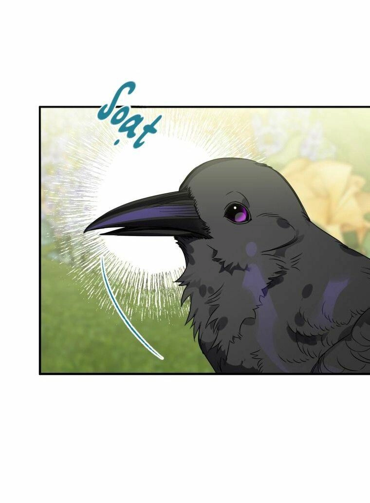 Bỗng Nhiên Tôi Trở Thành Quạ Đen!! Chapter 8 - 17