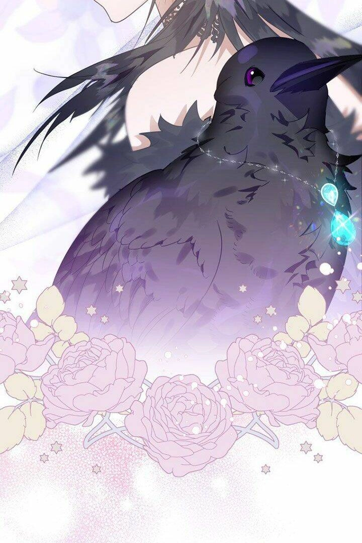 Bỗng Nhiên Tôi Trở Thành Quạ Đen!! Chapter 13 - 41