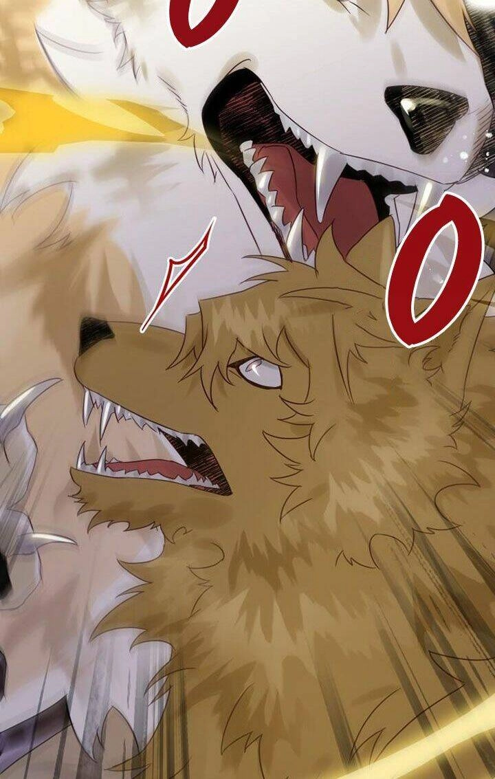 Bỗng Nhiên Tôi Trở Thành Quạ Đen!! Chapter 19 - 43