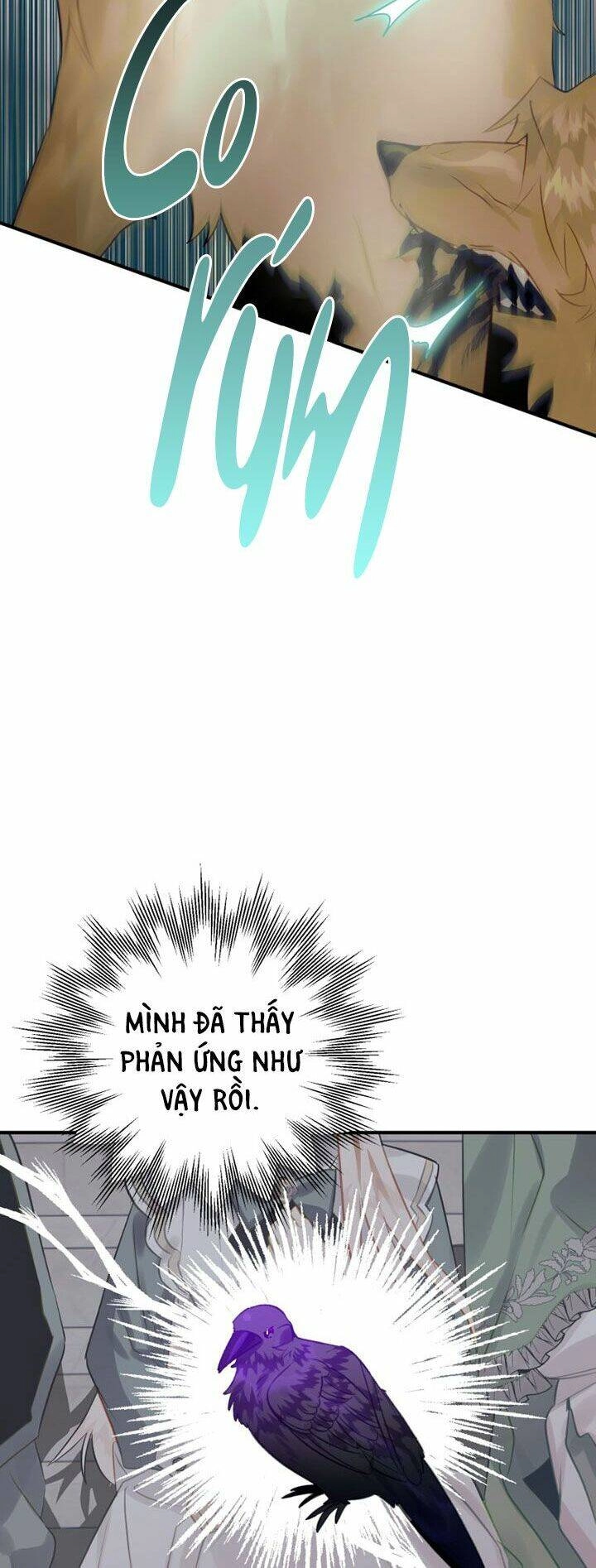 Bỗng Nhiên Tôi Trở Thành Quạ Đen!! Chapter 26 - 70