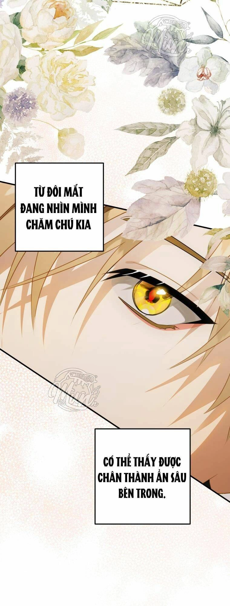 Bỗng Nhiên Tôi Trở Thành Quạ Đen!! Chapter 35 - 41