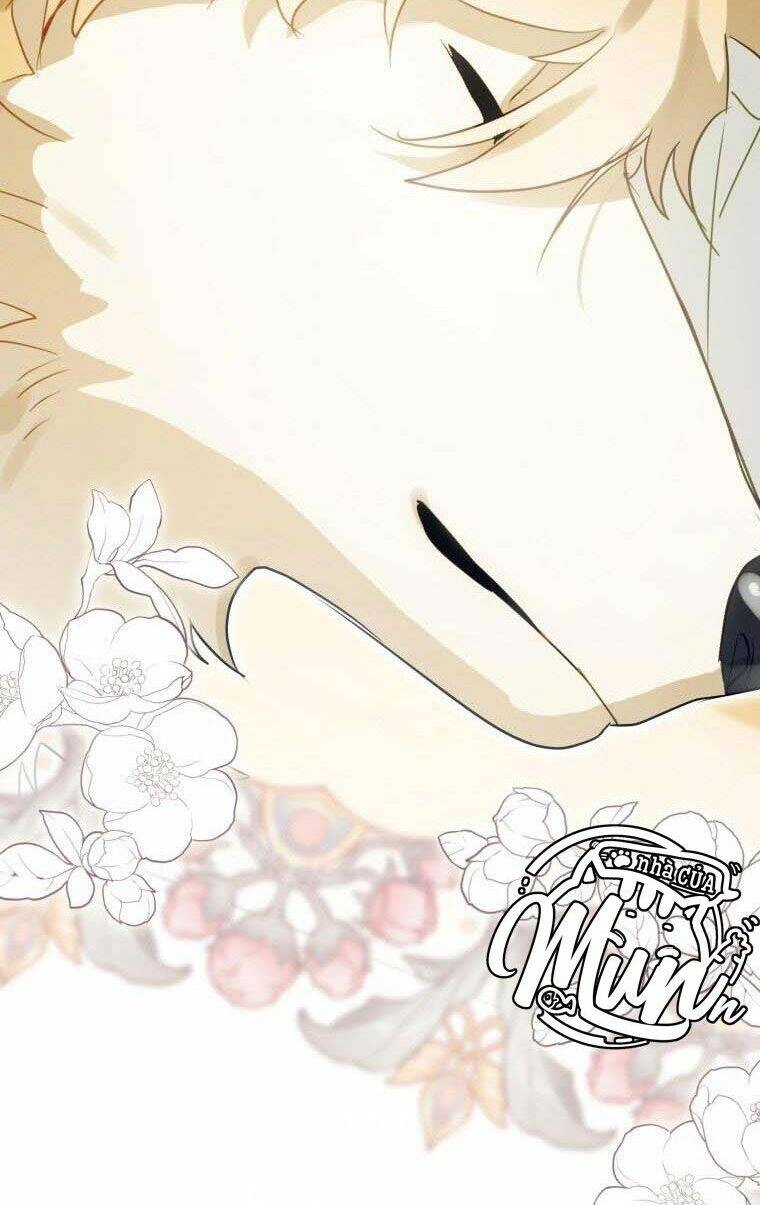 Bỗng Nhiên Tôi Trở Thành Quạ Đen!! Chapter 37 - 35