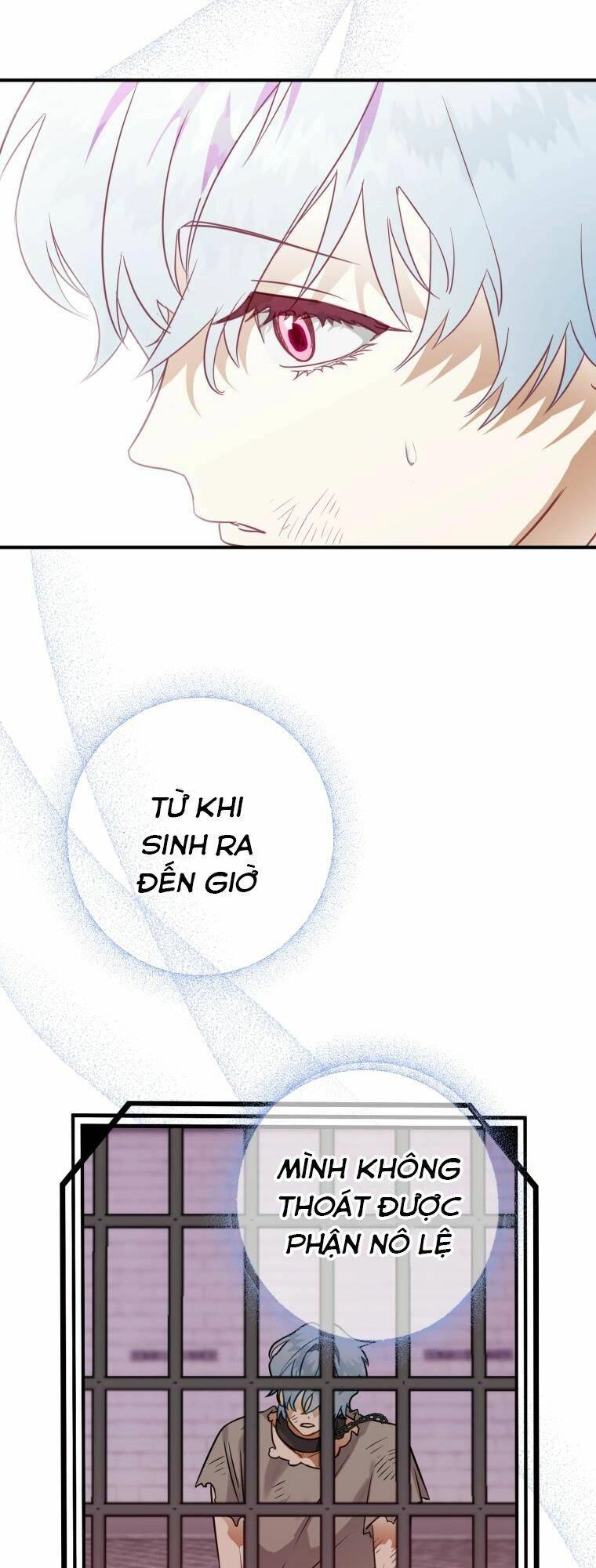 Bỗng Nhiên Tôi Trở Thành Quạ Đen!! Chapter 41 - 57