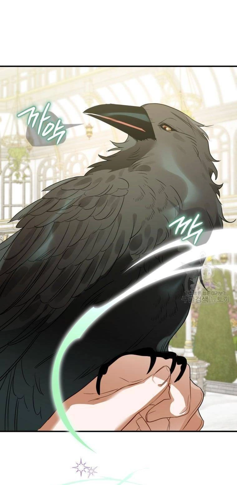 Bỗng Nhiên Tôi Trở Thành Quạ Đen!! Chapter 65 - 17