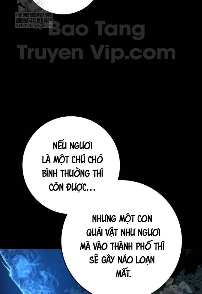 Kỵ Sĩ Lang Thang Chapter 18 - 17