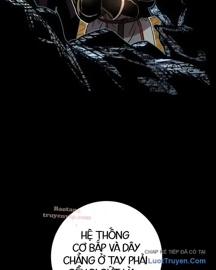 Kỵ Sĩ Lang Thang Chapter 32 - 149