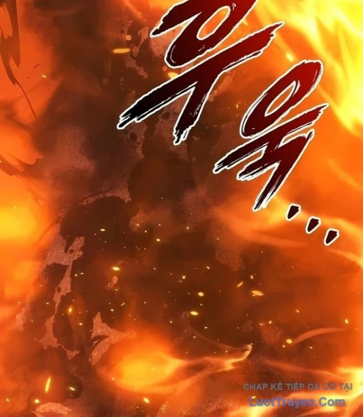 Kỵ Sĩ Lang Thang Chapter 35 - 195
