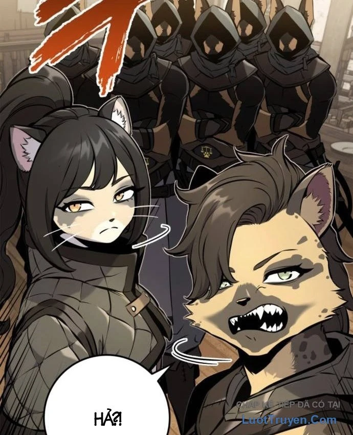 Kỵ Sĩ Lang Thang Chapter 37 - 29