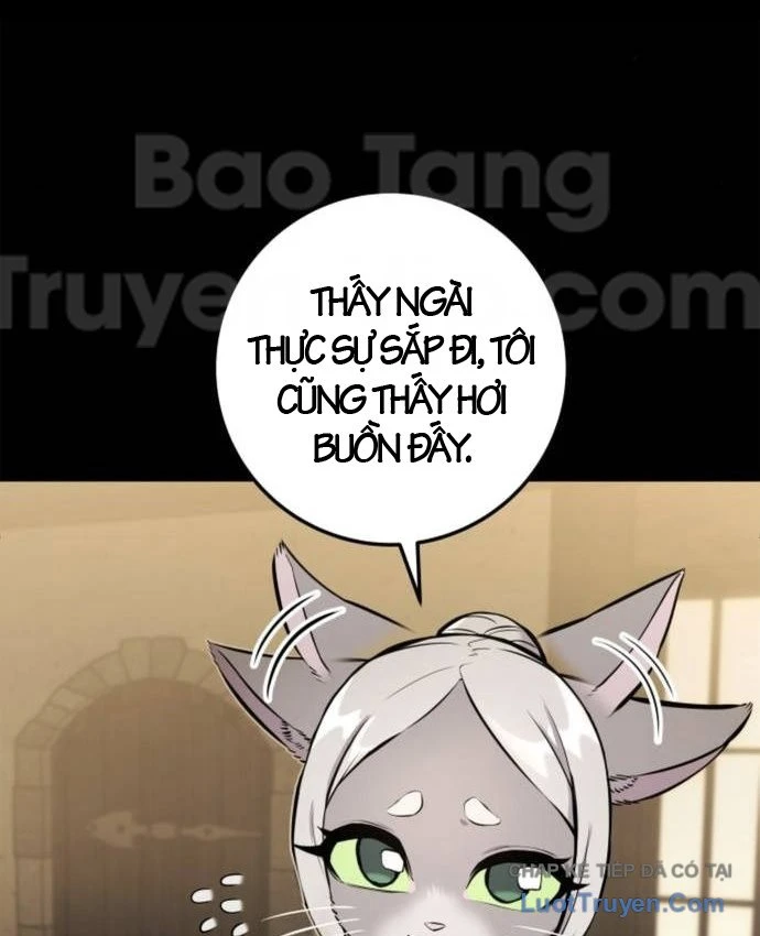 Kỵ Sĩ Lang Thang Chapter 37 - 64