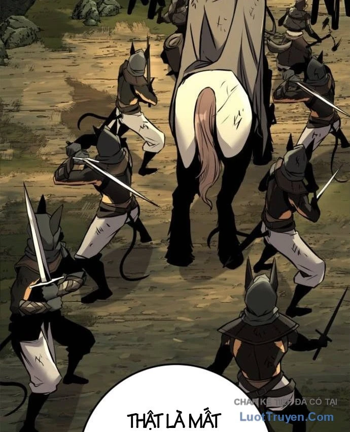 Kỵ Sĩ Lang Thang Chapter 37 - 160