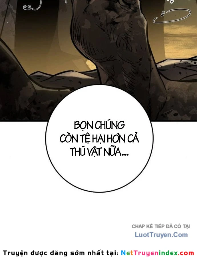 Kỵ Sĩ Lang Thang Chapter 37 - 227