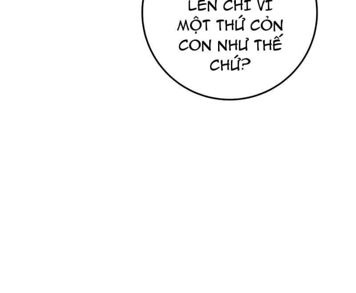 Kỵ Sĩ Lang Thang Chapter 44 - 177