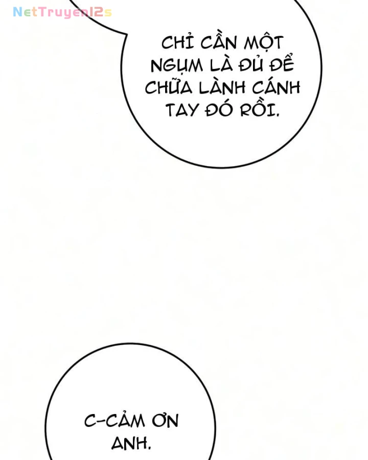 Kỵ Sĩ Lang Thang Chapter 47 - 97