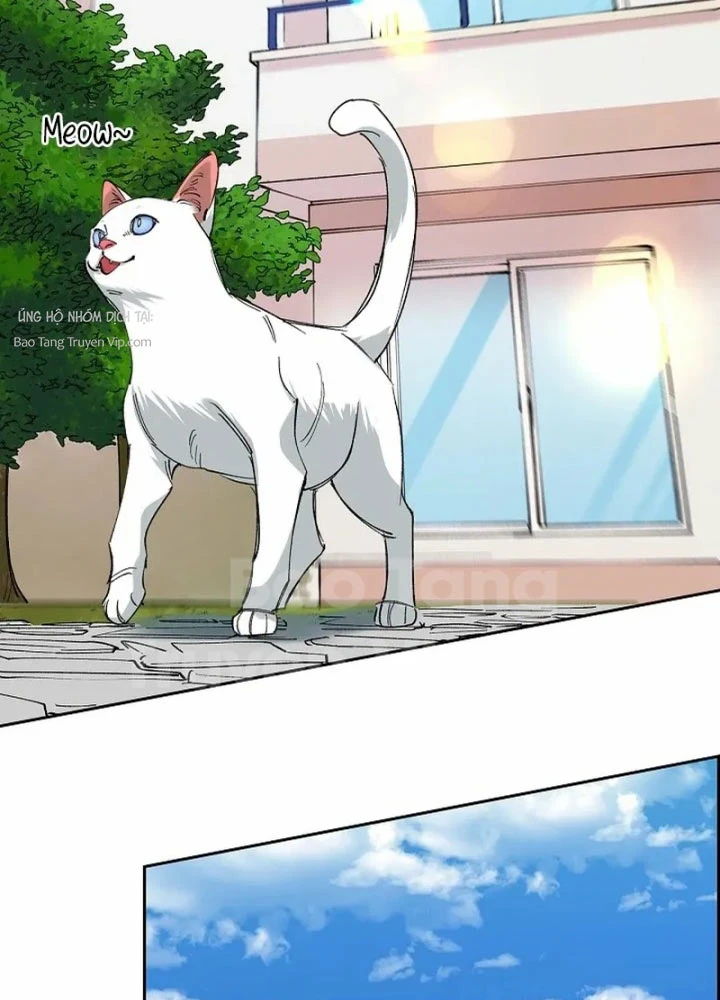 Thiên Ma Và Phù Thủy Băng Giá Chapter 14 - 47