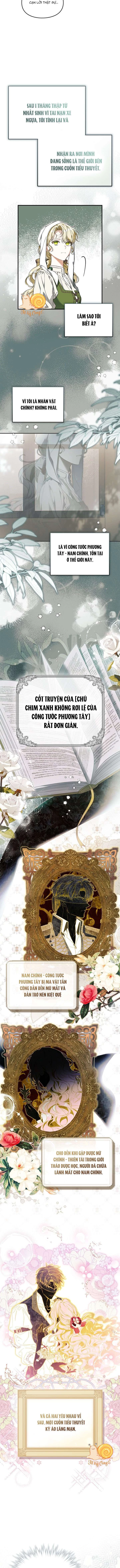 Tôi Đã Đính Hôn Với Vị Công Tước Mù. Chapter 1 - 11