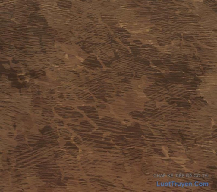 Chỉ ta nhìn thấy hướng dẫn Chapter 8 - 14