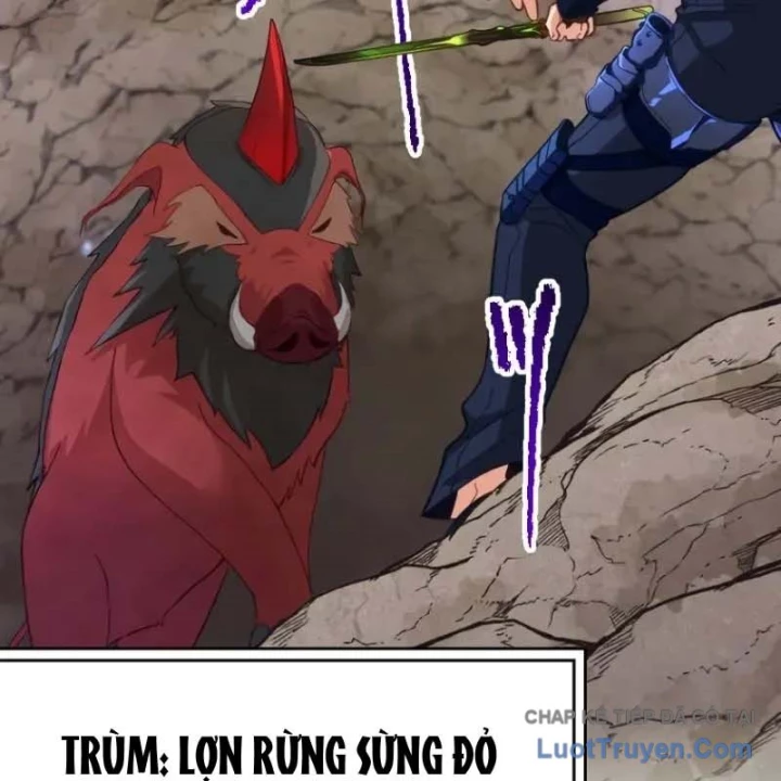 Chỉ ta nhìn thấy hướng dẫn Chapter 11 - 31