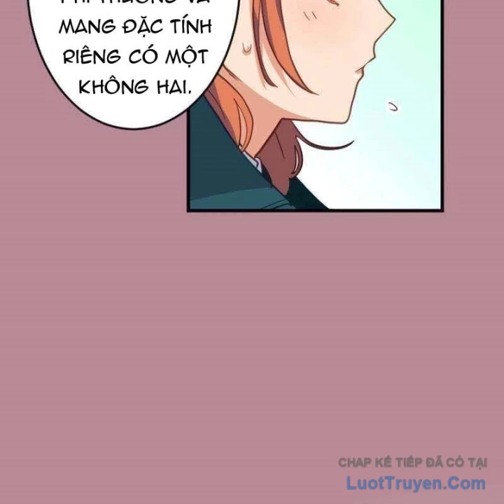 Chỉ ta nhìn thấy hướng dẫn Chapter 13 - 102