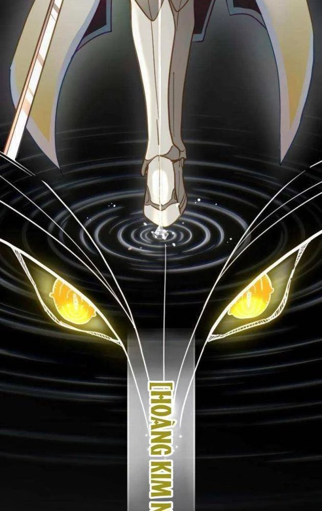 Chỉ ta nhìn thấy hướng dẫn Chapter 17 - 17