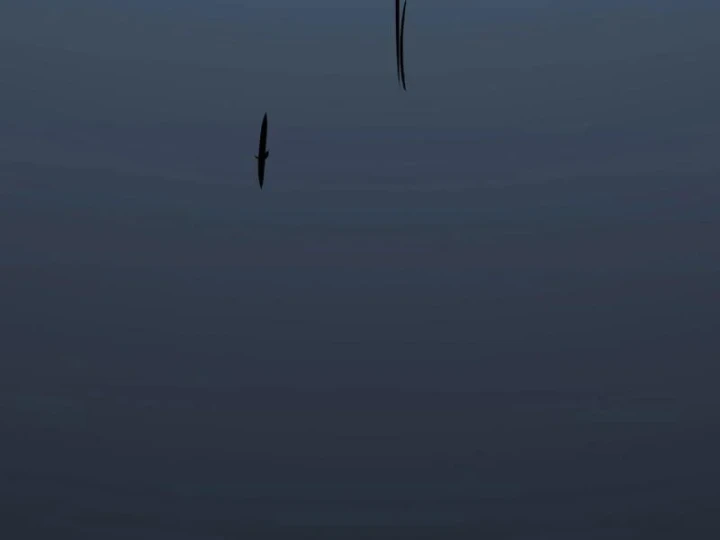 Chỉ Có Một Giọt Máu Vĩnh Cửu, Ta Vô Địch Tại Thế Chapter 19 - 84