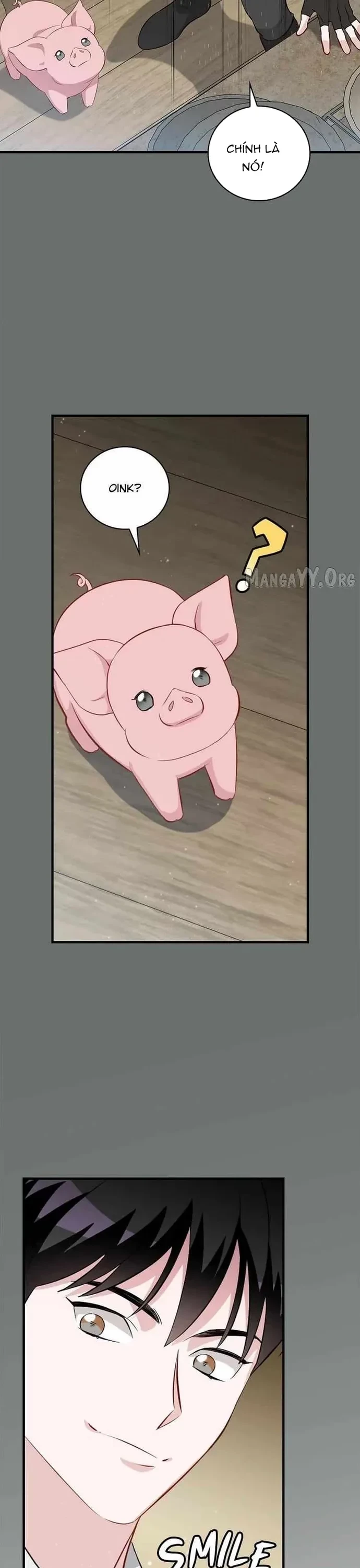 Level Up Chỉ Bằng Cách Ăn Cơm Chapter 205 - 21