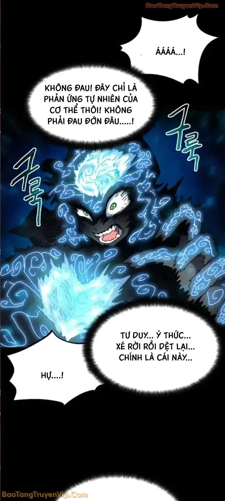 Chương Trình Đào Tạo Đại Pháp Sư Chapter 17 - 69